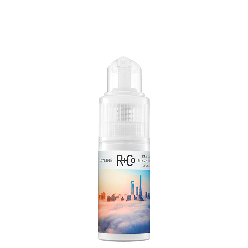 r-co-skyline-dry-shampoo-powder