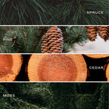 Christmas tree farm soy candle scent notes: spruce, pine, cedar, and moss ingredients comparison guide
