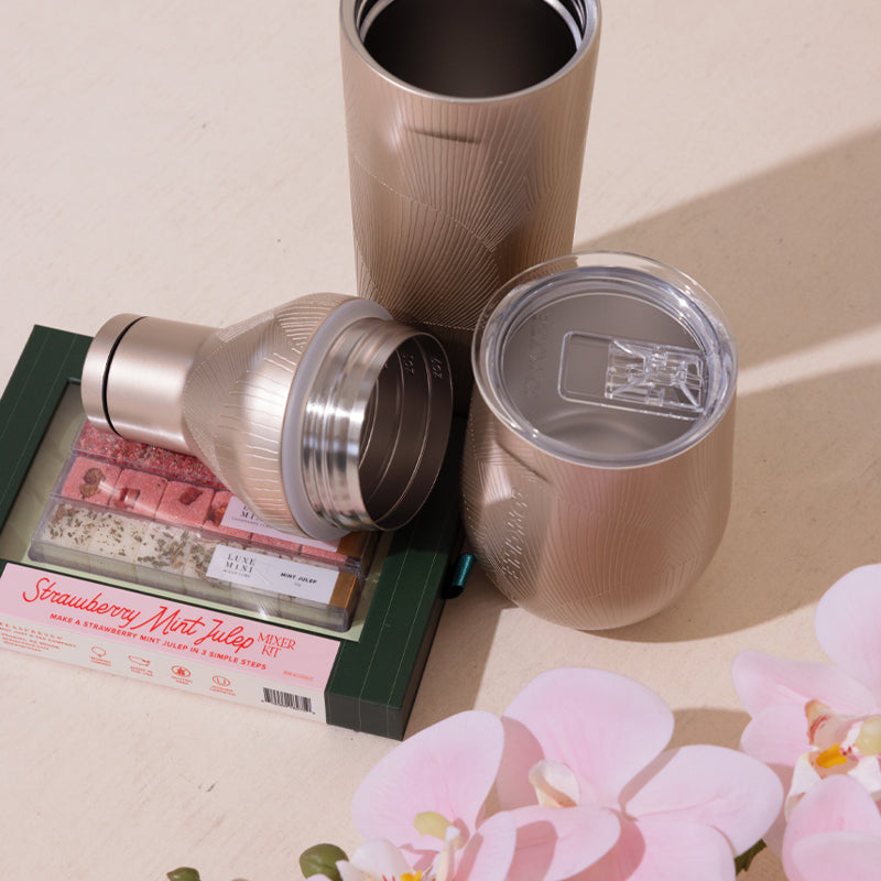 corkcicle-cocktail-shaker-champagne-dream-lifestyle