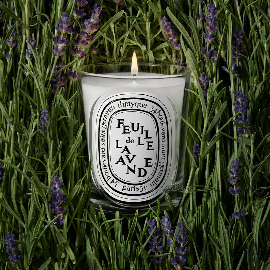 DIPTYQUE |  Feuille de Lavande (Lavender Leaf) Classic Candle