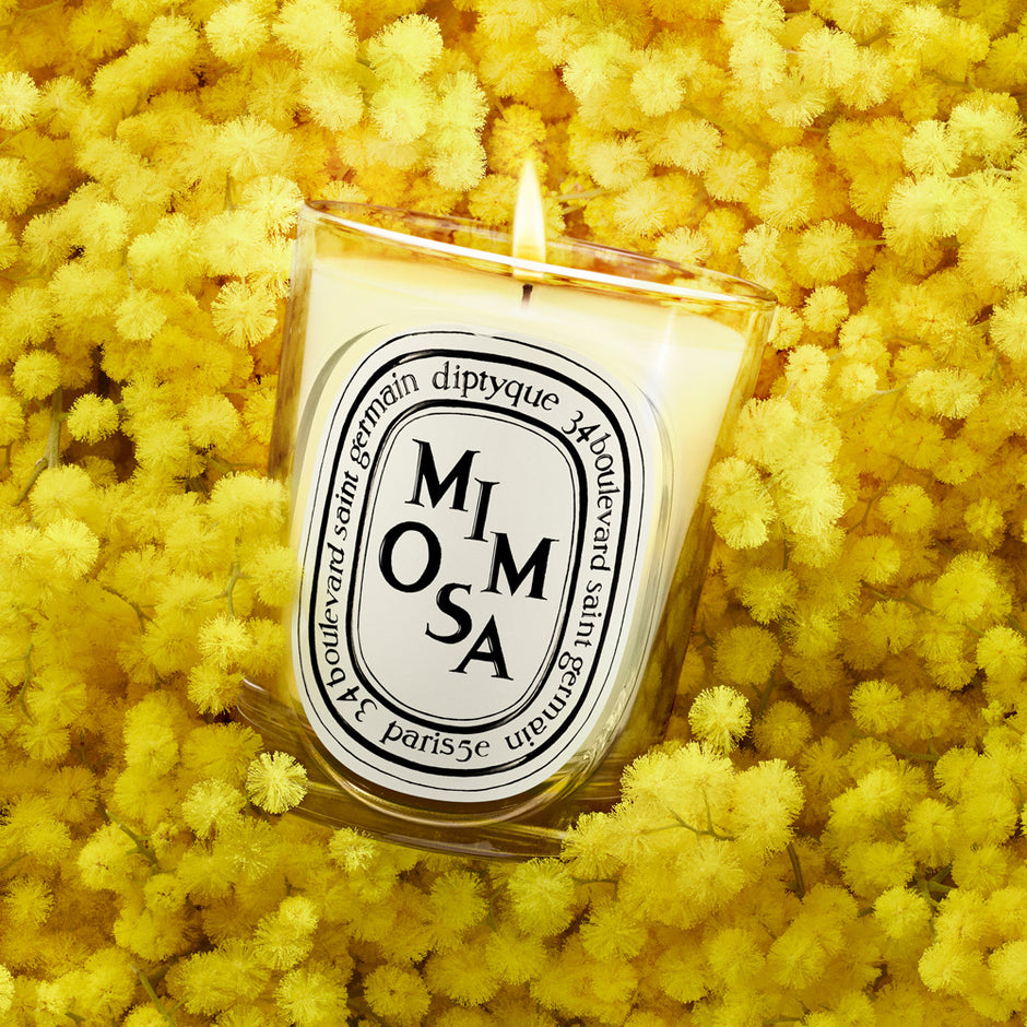 DIPTYQUE | Mimosa Classic Candle