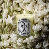 DIPTYQUE | Tubéreuse (Tuberose) Classic Candle