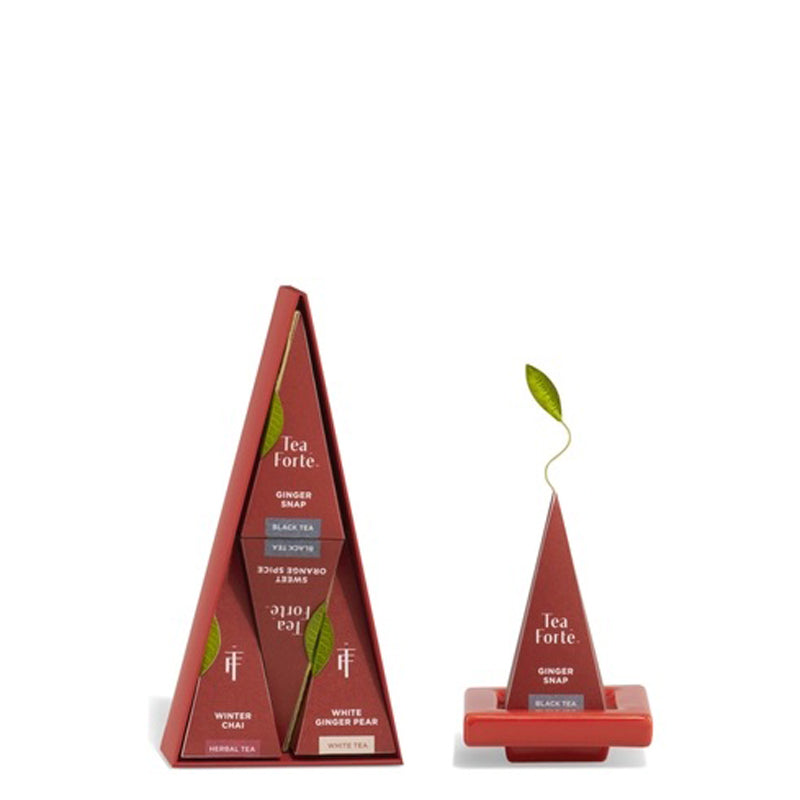 TEA FORTE | Warming Joy Petite Tea Tree