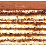 Close-up of layered tiramisu with a cocoa-dusted top