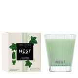 NEST-FRAGRANCES-Cucumber-&-White-Sage-Candle-classic
