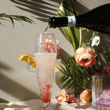 TEASPRESSA | Champagne Bellini Mixer Kit