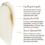 Dream Slip lip mask ingredient graphic with a balm swatch, highlighting Lip Repair Lipids, Jojoba Seed Oil and Sweet Almond Oil