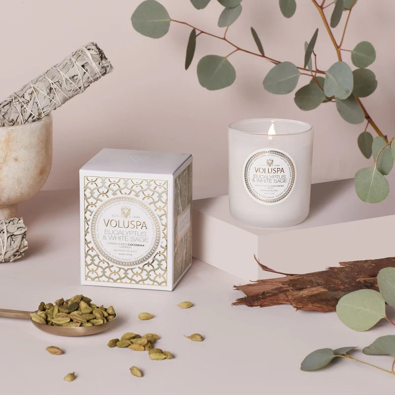 Voluspa candle with packaging, green cardamom beans, and eucalyptus leaves on a neutral background