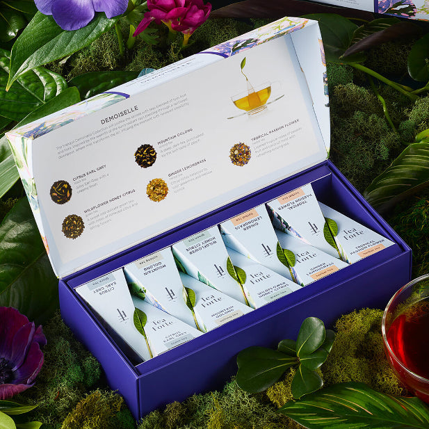 Demoiselle Petite Presentation Box, open, with infuser and teacup amongst moss and plants