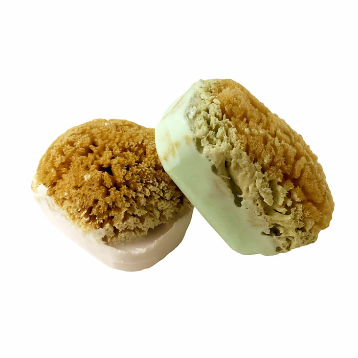 LORI'S SOAP & SPONGE | Goat Milk Soap Bar with Natural Sponge