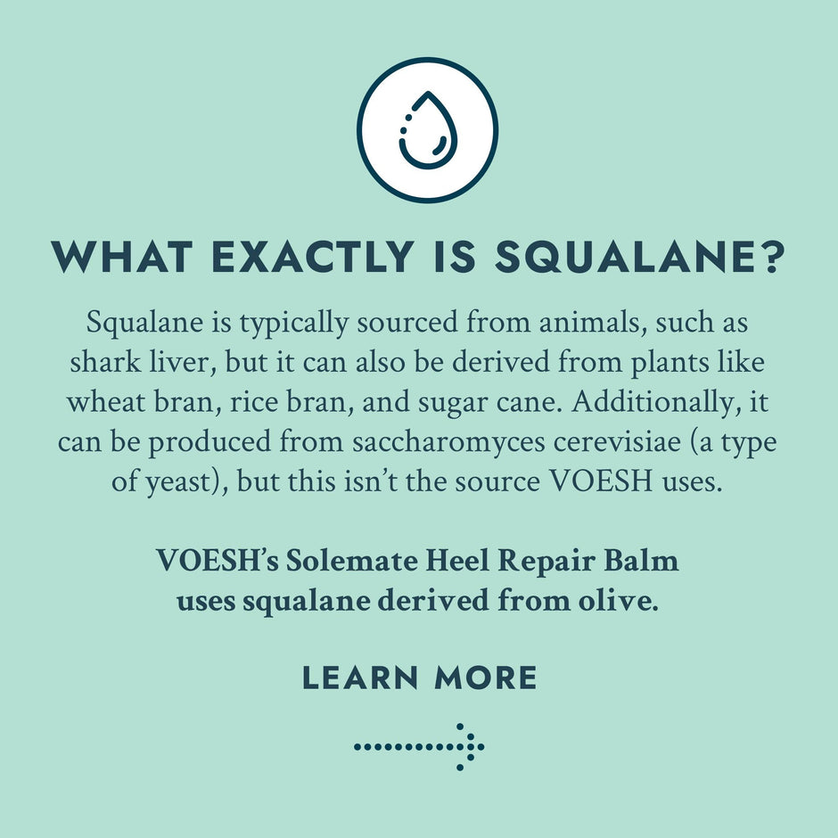 Infographic explaining what squalane is and VOESH's olive-derived squalane source