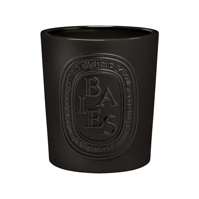 DIPTYQUE | Baies Interior & Exterior Candle (Very Large)