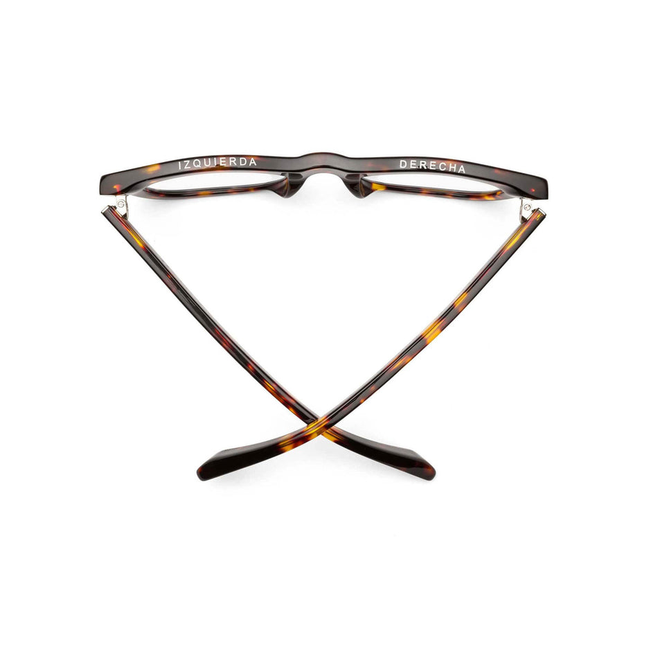 Caddis D28 Reading Glasses Turtle back view