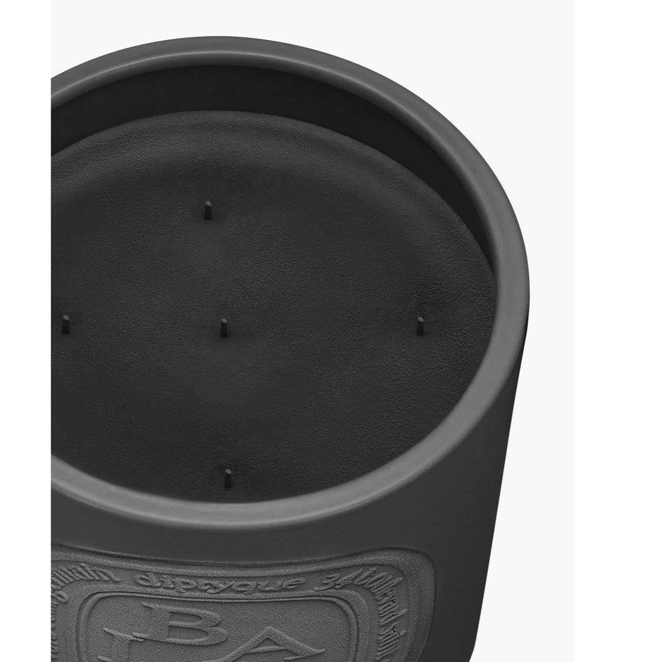 DIPTYQUE | Baies Interior & Exterior Candle (Very Large)