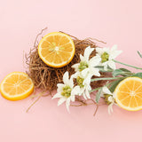 Spongellé key ingredients: yuzu citrus slices and edelweiss flowers on a pink background