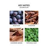 nest-autumn-plum-fragrance-notes