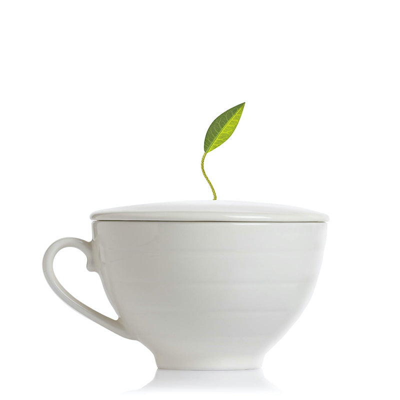 TEA FORTE | Cafe Cup