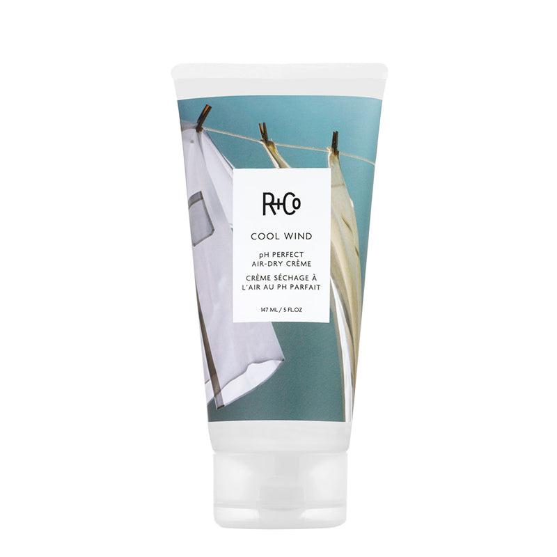 r-and-co-cool-wind-ph-perfect-air-dry-creme