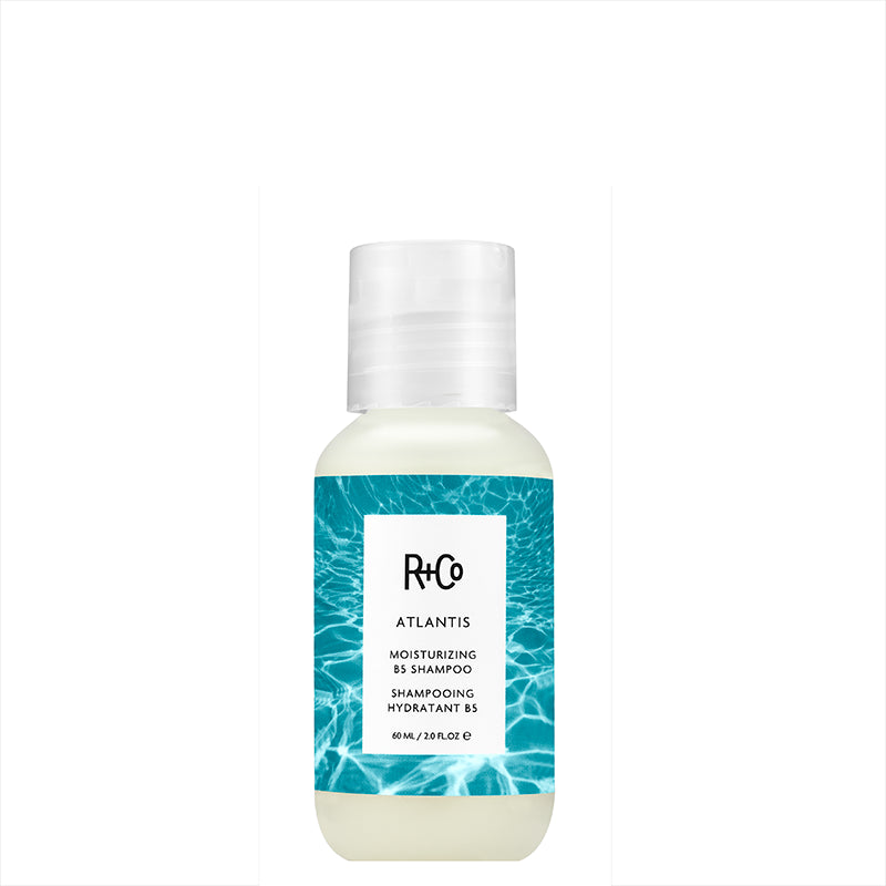 Captivating R And Co Dry Shampoo Capture Art Captivating R And Co Dry Shampoo Capture Art